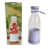 mini juicer blender